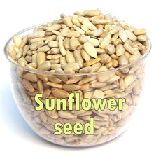 해바라기씨 100g /sunflower seed